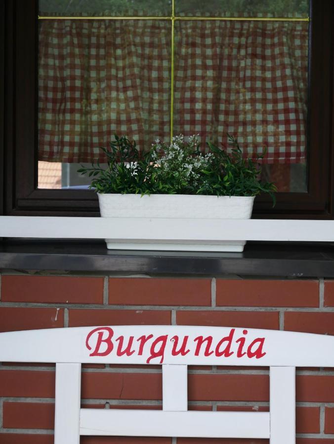 Niewinne Domki - Burgundia Zywiec Bagian luar foto